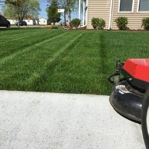 Meet your Posher, Shaune